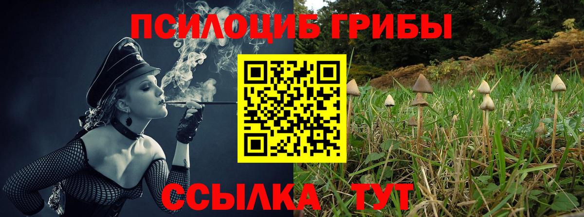 Галлюциногенные грибы мухоморы  где найти наркотики  Кумертау  Вход с VPN 